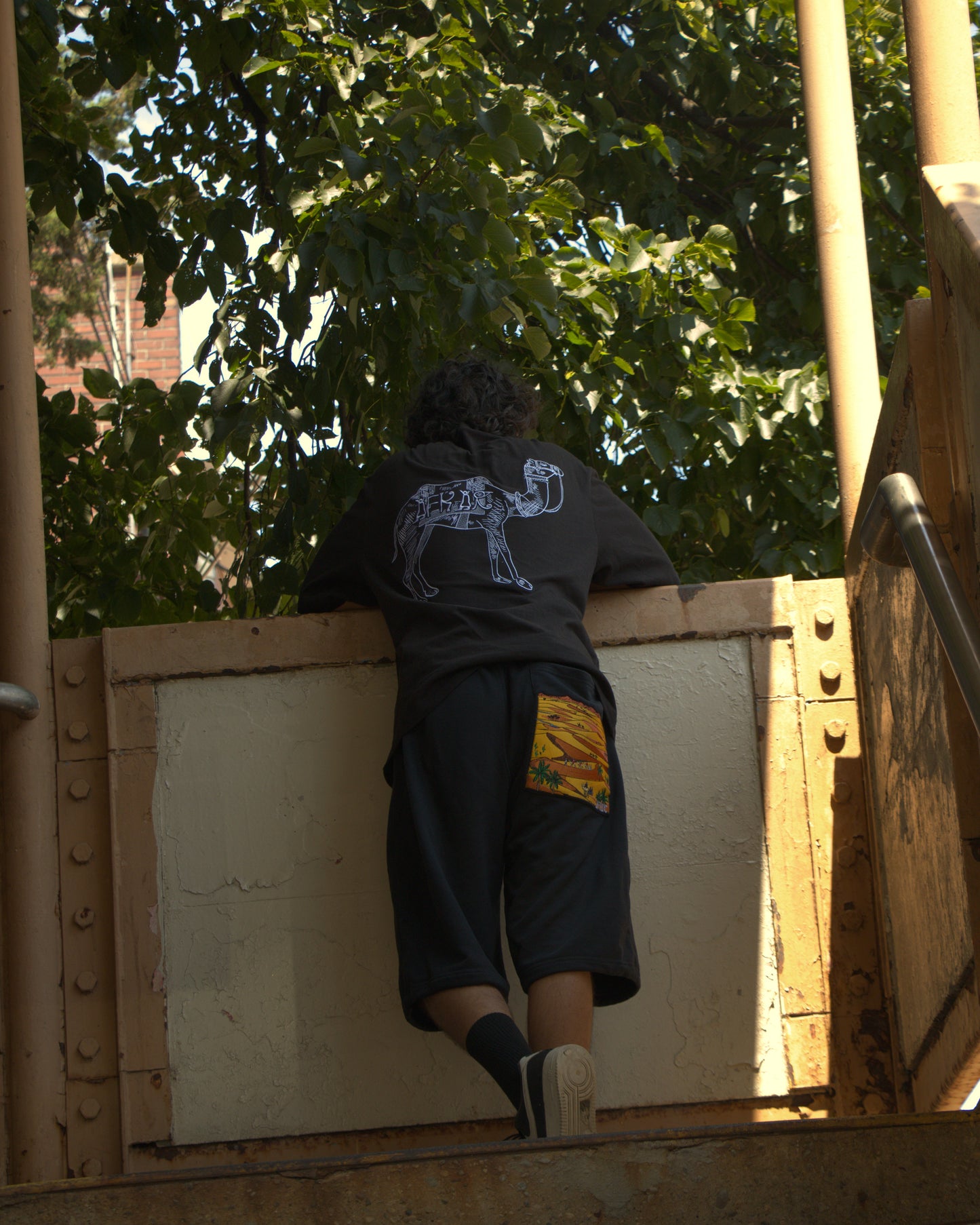 "EGYPT V1" SHORTS BLACK